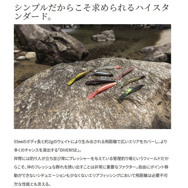 CARDIFF ダイバライズ 55F
